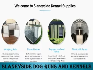 Slaneyside Dog runs and Kennels