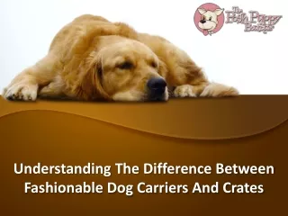 Understanding The Difference Between Fashionable Dog Carriers And Crates