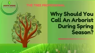 Why Should You Call An Arborist During Spring Season?