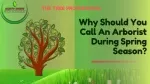 Why Should You Call An Arborist During Spring Season?