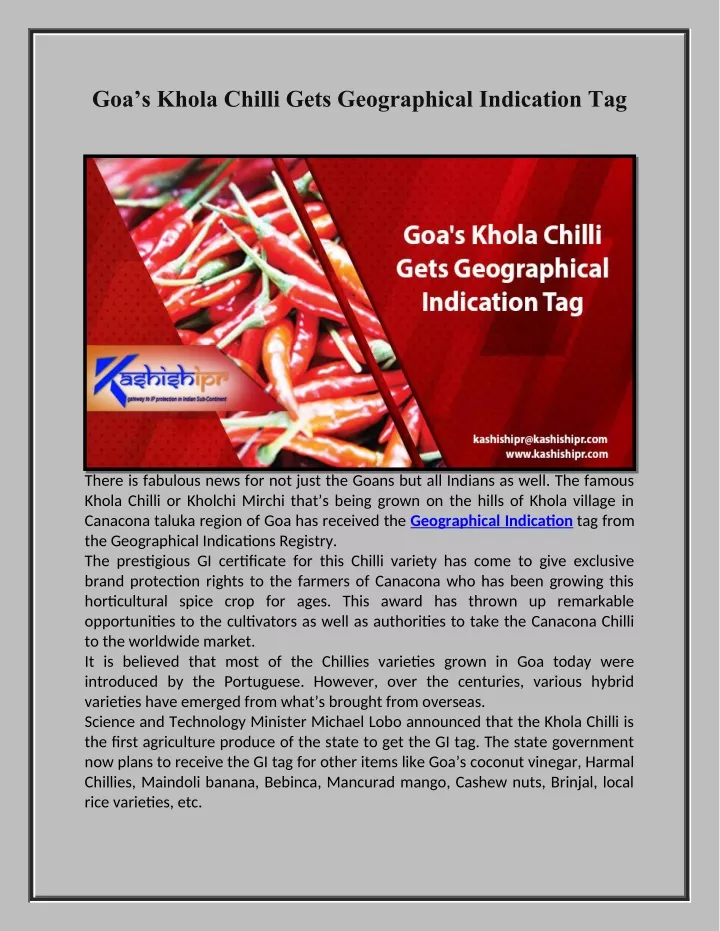 goa s khola chilli gets geographical indication