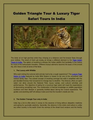 Pocket-friendly Tiger Safari Tours India