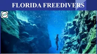FreeDiving - Florida Freedivers