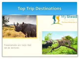 Cheap Tours Of Easter Island With MyStead Travels