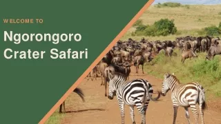 5 Days Tour to Ngorongoro Crater Safari