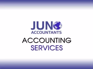 Financial Accounting Services USA | Professionals Accounting Services Australia