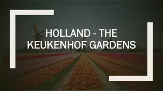 Holland - The Keukenhof Gardens