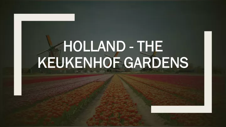 holland the keukenhof gardens