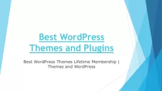 Best WordPress Themes and Plugins