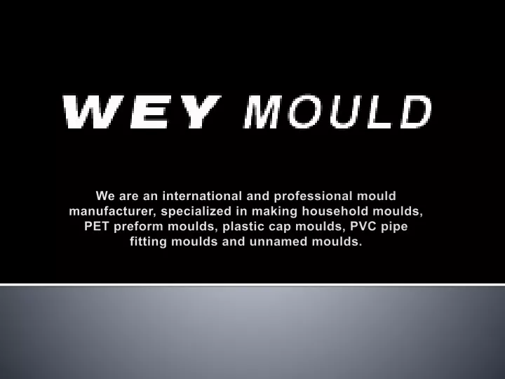 we are an international and professional mould