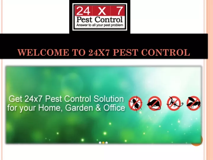 welcome to 24x7 pest control