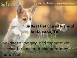 Advanced imaging and topmost vet service for pets at a cheap rate by SafariVet