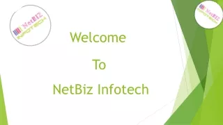 Best Software Development - Netbiz Infotech