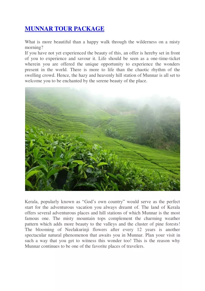 munnar tour package what is more beautiful than