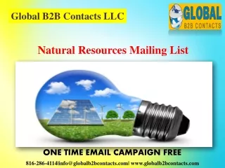 global b2b contacts llc