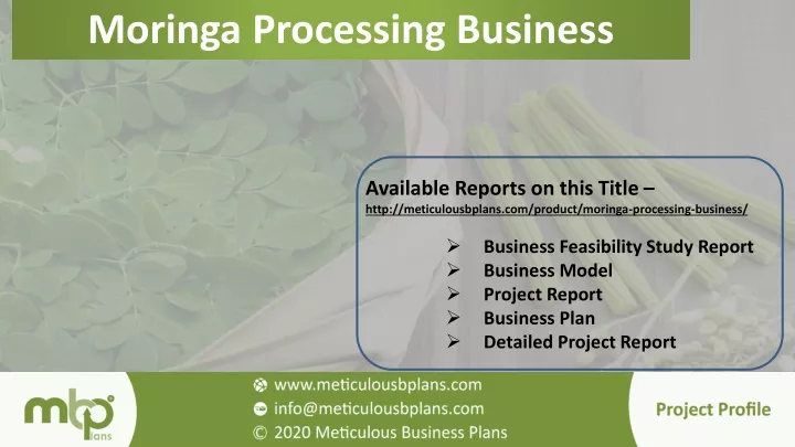moringa processing business
