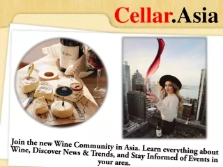 cellar asia