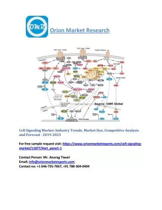 Cell Signaling Market Segmentation, Forecast, Market Analysis, Industry Size and Share to 2025