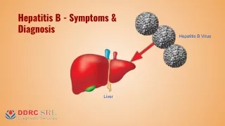 Hepatitis B - Symptoms & Diagnosis Tests