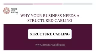 Why your business needs a Structured Cabling