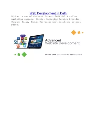 web development in delhi bigtgs