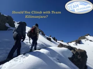 Climb Kilimanjaro with Experts