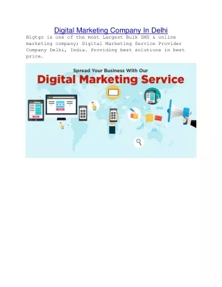 digital marketing company in delhi bigtgs