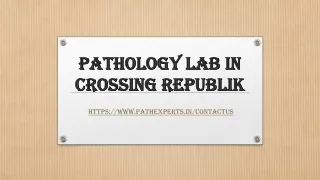 pathology lab in crossing republik