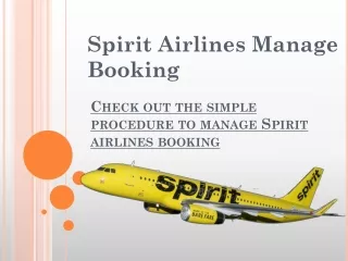 Online Spirit airlines manage Booking tickets