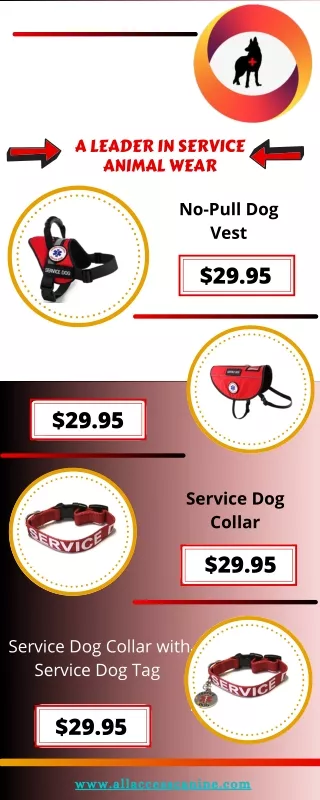 Get To Know Our Working Dog Equipment Collection