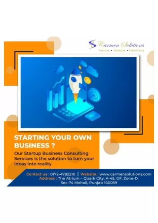 Best Startup Business Solutions - Carmen Solutions