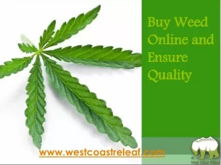 Buy Weed Online and Ensure Quality