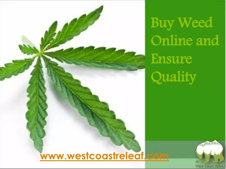 buy weed online and ensure quality