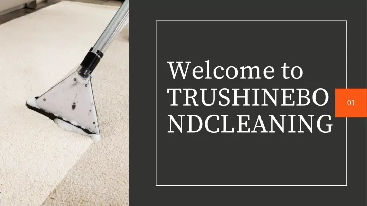 welcome to trushinebo ndcleaning