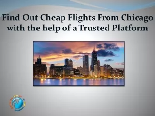 Find Out Cheap Flights From Chicago with the Help of a Trusted Platform