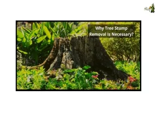 why tree stump removal is necessary
