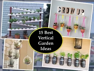 15 Best Vertical Garden Ideas to Create a Small Garden