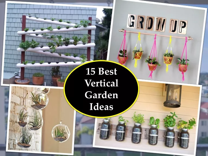 15 best vertical garden ideas