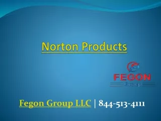 Norton Products - 8445134111 - Fegon Group