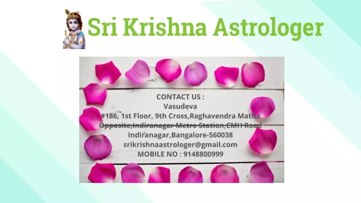 contact us vasudeva