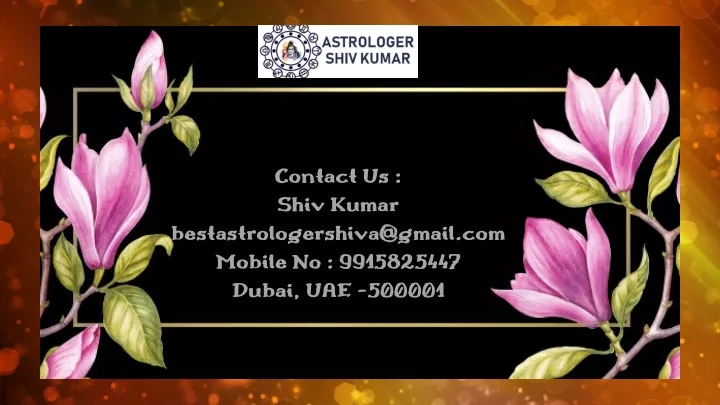 contact us shiv kumar