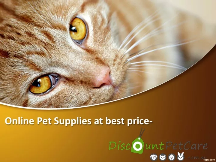 online pet supplies at best price