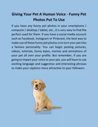 Giving Your Pet A Human Voice - Funny Pet Photos Put To Use