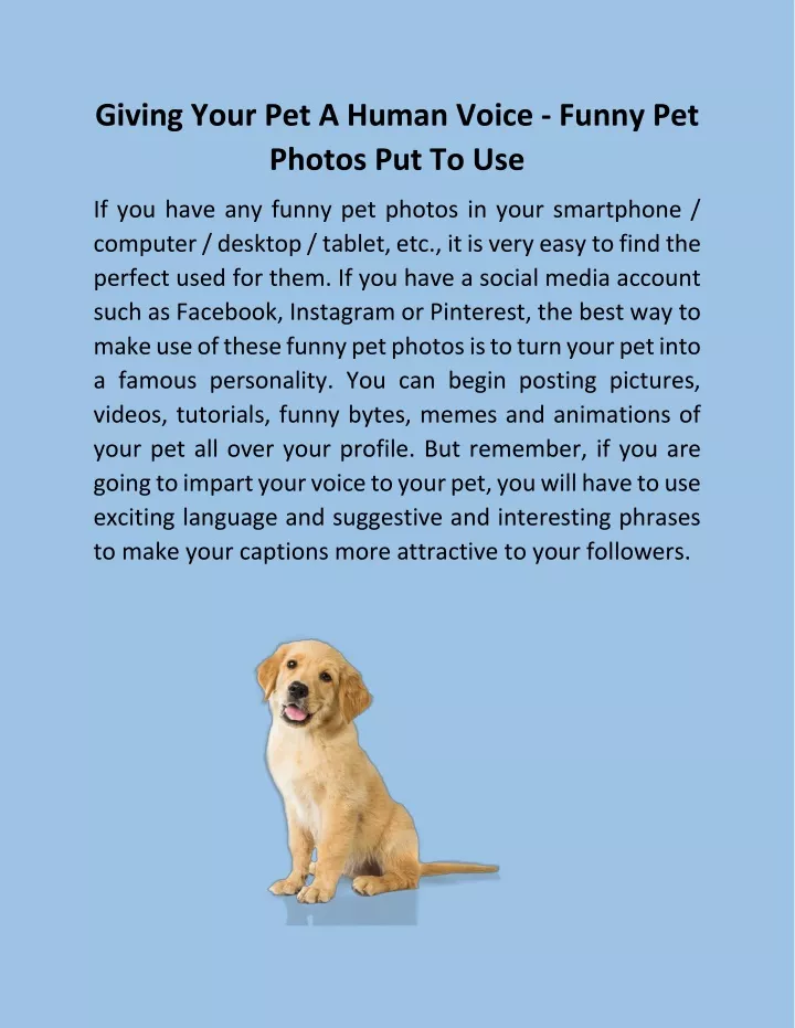 giving your pet a human voice funny pet photos