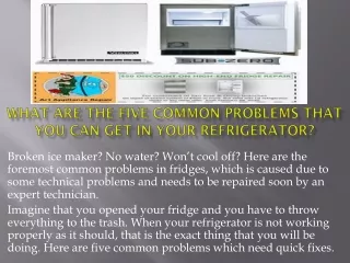 What Are The Five Common Problems That You Can Get In Your Refrigerator?