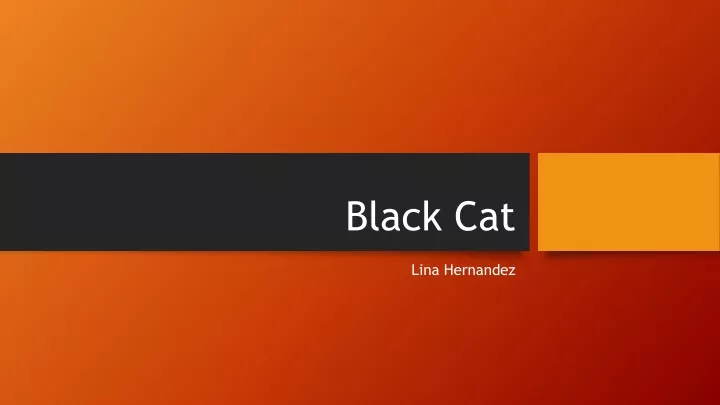 black cat