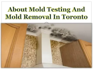 About Mold Testing And Mold Removal In Toronto
