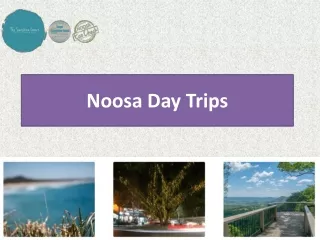 Noosa Day Trips
