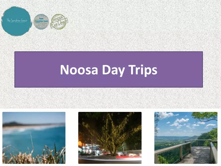 noosa day trips