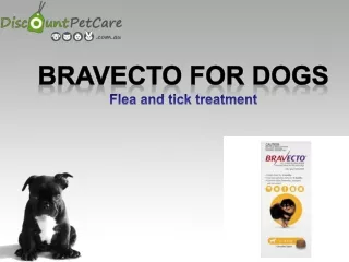 Bravecto for Dogs | Online Bravecto Flea & Tick | Flea Tablets for Dogs |Bravecto at best price in Australia